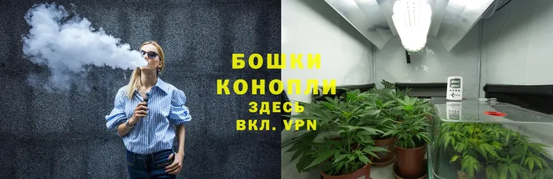 Марихуана OG Kush  продажа наркотиков  Новошахтинск 